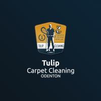 Tulip Carpet Cleaning Odenton image 1